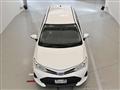 2019 Toyota Corolla Fielder