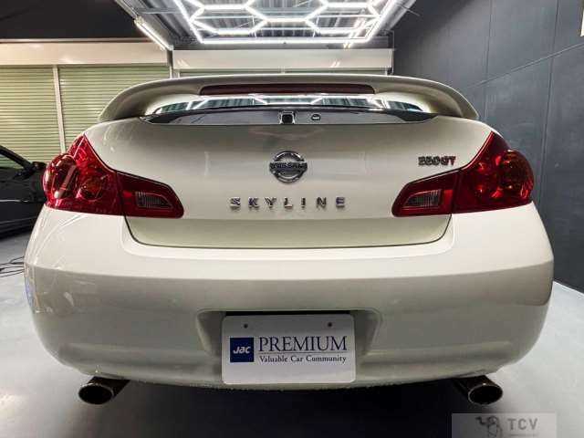 2007 Nissan Skyline