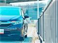 2015 Honda Shuttle