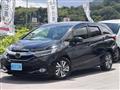 2018 Honda Shuttle