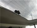 2015 Nissan Elgrand