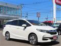 2017 Honda Shuttle