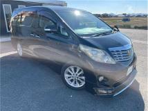 2010 Toyota Alphard