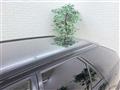 2001 Honda Accord Wagon