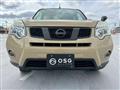 2013 Nissan X-Trail