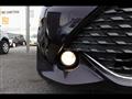 2015 Toyota Corolla Fielder