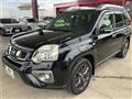 2013 Nissan X-Trail