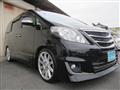 2013 Toyota Alphard