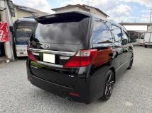2011 Toyota Alphard