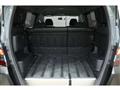 2010 Honda Freed Spike