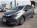 2019 Honda Shuttle