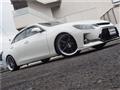 2010 Toyota Mark X