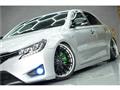 2010 Toyota Mark X