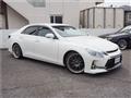 2010 Toyota Mark X