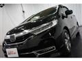 2019 Honda Shuttle