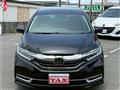 2019 Honda Shuttle