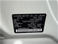2017 Nissan Elgrand