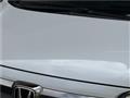 2020 Honda Freed