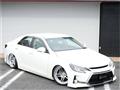 2010 Toyota Mark X