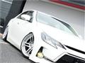 2010 Toyota Mark X