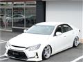 2010 Toyota Mark X