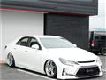 2010 Toyota Mark X
