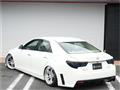 2010 Toyota Mark X