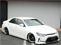 2010 Toyota Mark X