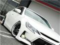 2010 Toyota Mark X