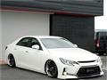 2010 Toyota Mark X
