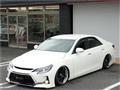 2010 Toyota Mark X