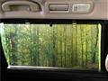 2019 Nissan Elgrand