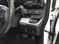 2017 Honda Step WGN