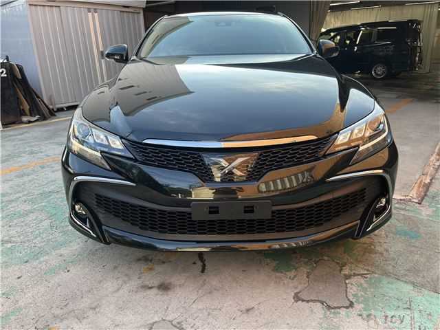 2019 Toyota Mark X