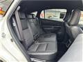2018 Toyota Harrier