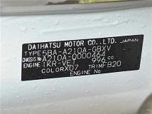 2019 Toyota Raize