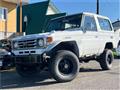 1995 Toyota Land Cruiser