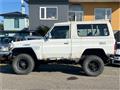1995 Toyota Land Cruiser