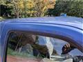 1999 Nissan Datsun Pickup