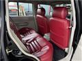 1995 Nissan Rasheen