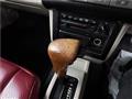 1995 Nissan Rasheen