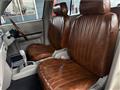 1995 Nissan Rasheen