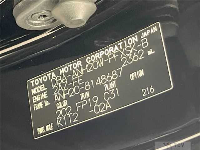 2010 Toyota Alphard