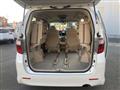 2010 Toyota Alphard
