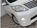 2010 Toyota Alphard