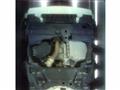 2012 Toyota Alphard