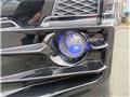 2015 Toyota Alphard