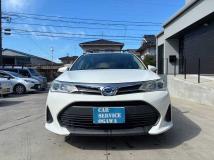 2019 Toyota Corolla Fielder