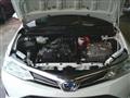 2019 Toyota Corolla Fielder