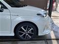 2019 Toyota Corolla Fielder